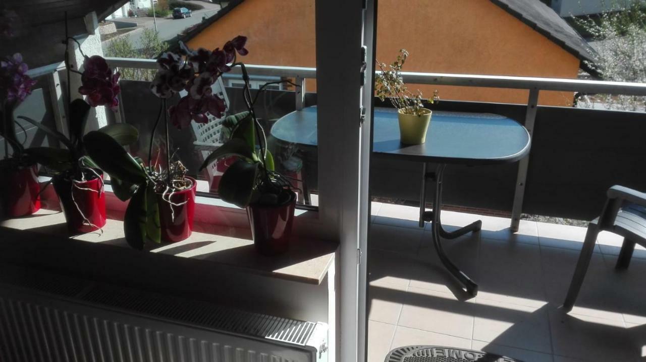 Obere Ferienwohnung Asshoff Zwischen Odenwald, Taubertal Und Bauland Berolzheim Luaran gambar
